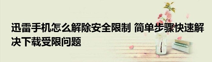 迅雷手机怎么解除安全限制 简单步骤快速解决下载受限问题